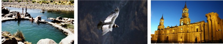 Arequipa and Colca Canyon