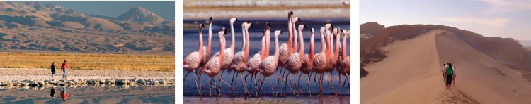 Photos of the Atacama Desert