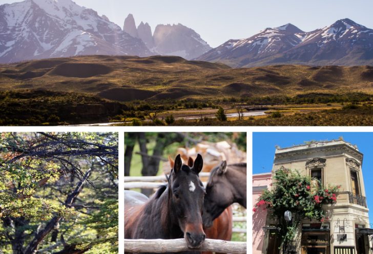 Two Weeks Chile Argentina