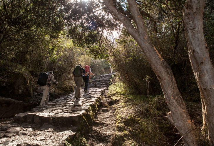 Machu Picchu Hike Inca Trail
