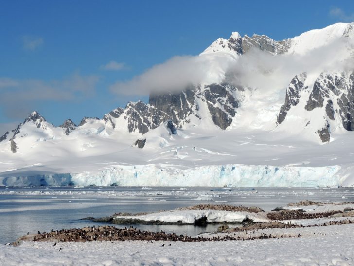 Antarctica