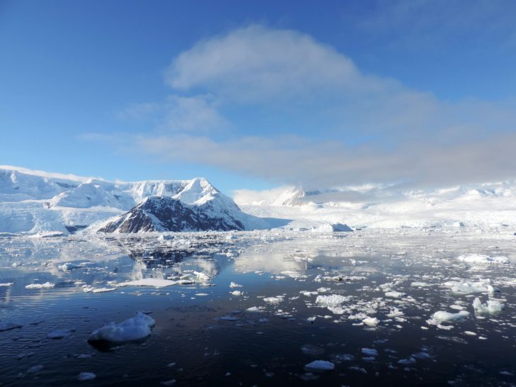 Antarctica Tour