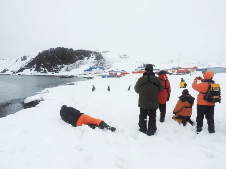 Antarctica Tour