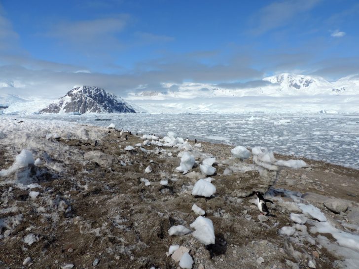 Antarctica Trips