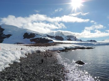 Antarctica Weather