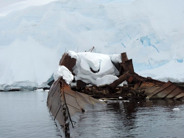 Antarctica Trips