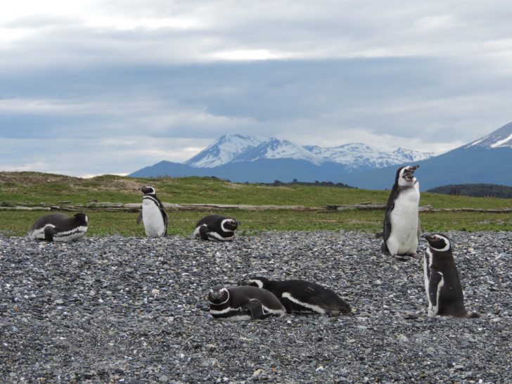 Ushuaia Adventure Travel