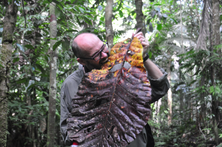 ecuador and galapagos islands vacation knowmad adventures christmas adventure trips