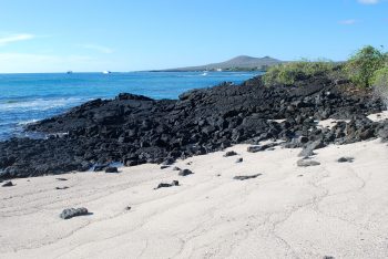 Floreana Island